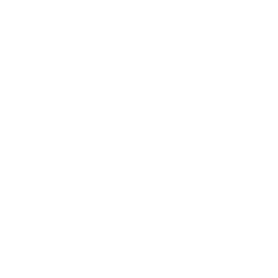 OpenAI GPT